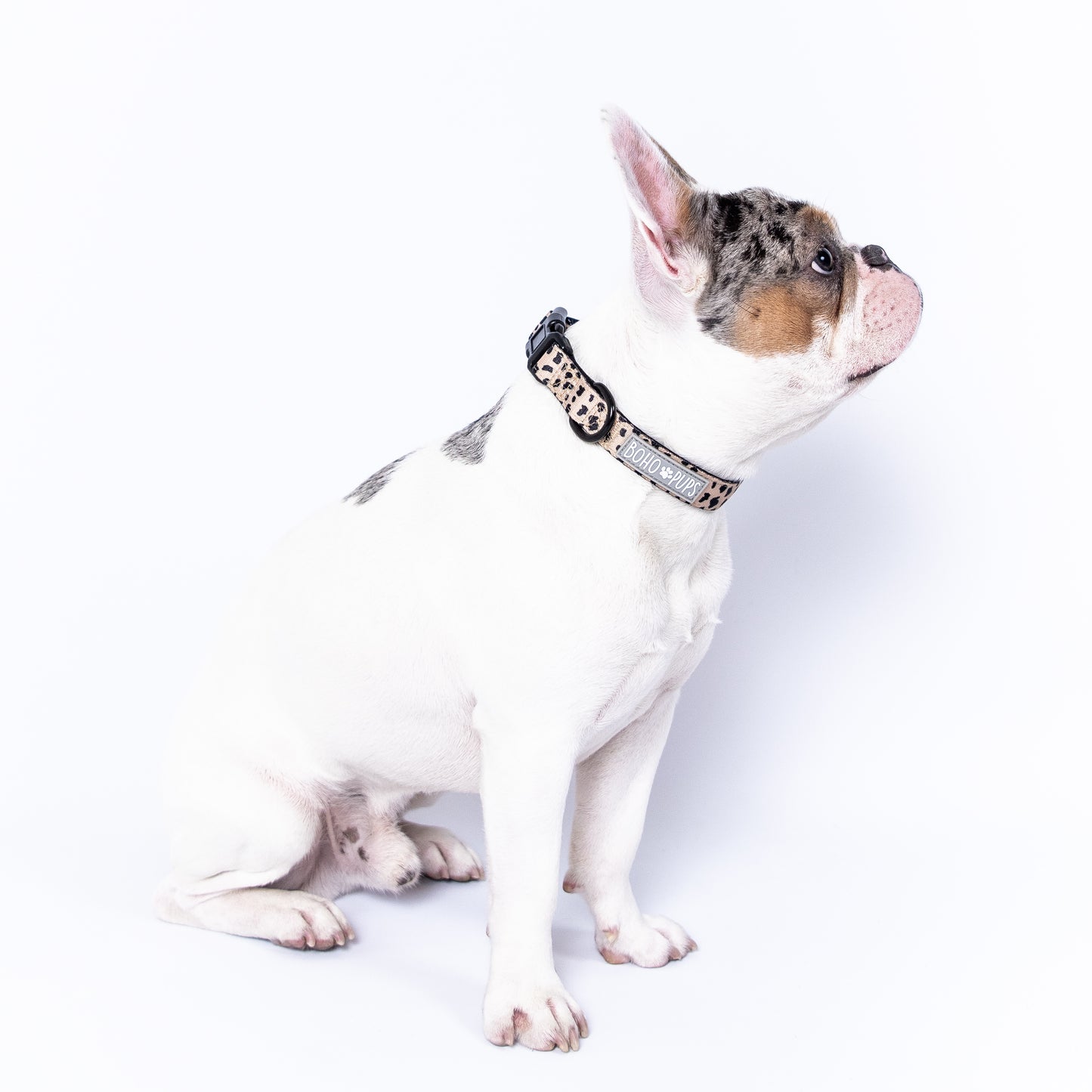 Wild Thing Collar