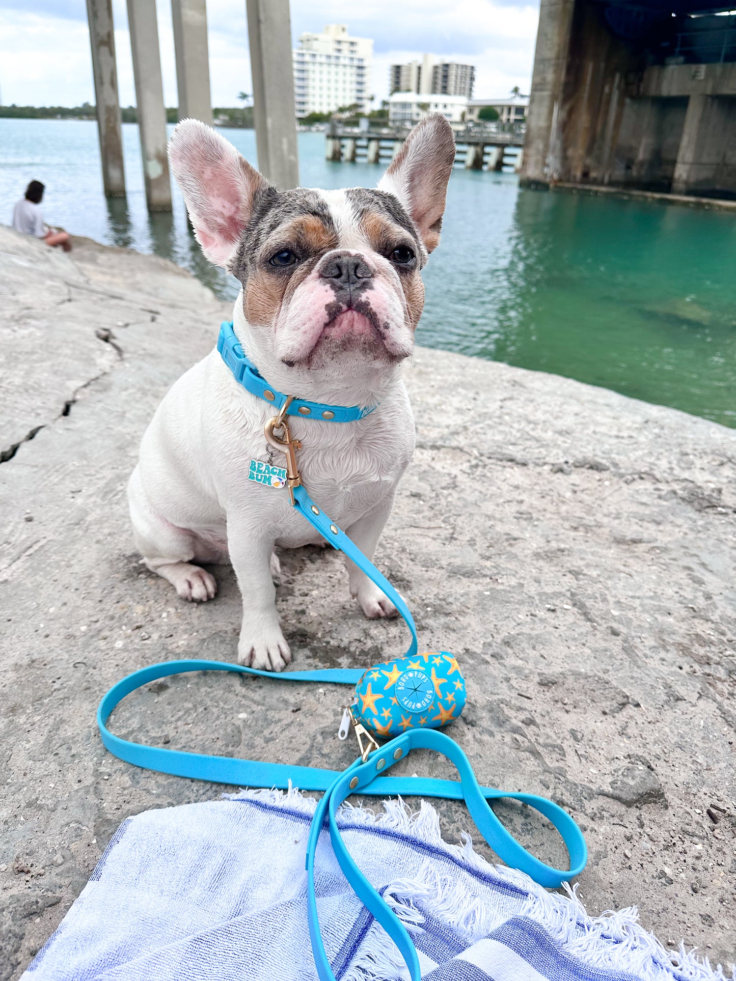 Sandy Paws Walkie Set (collar)