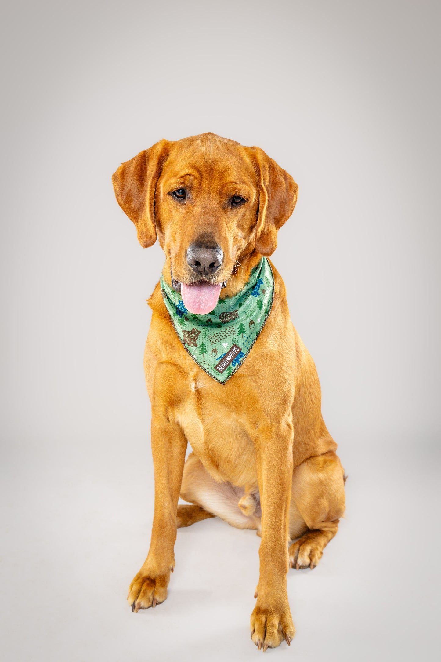 "Forest Friends" Cooling Bandana