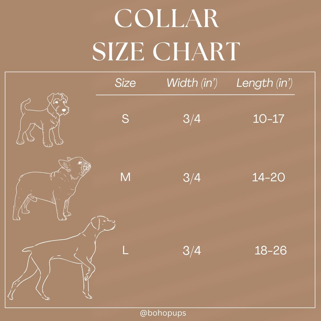 Tribal Trotter Collar