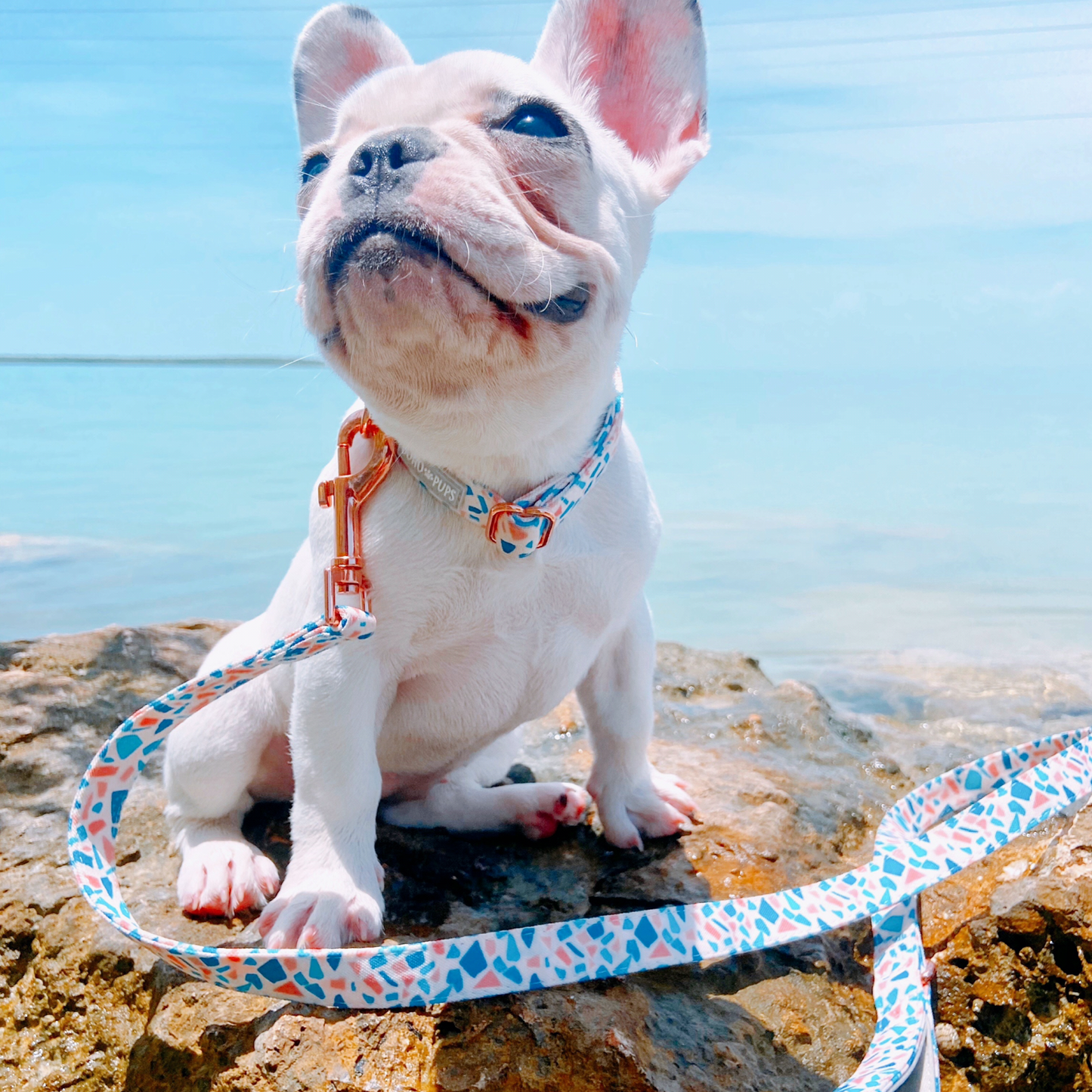 Terrazzo Leash