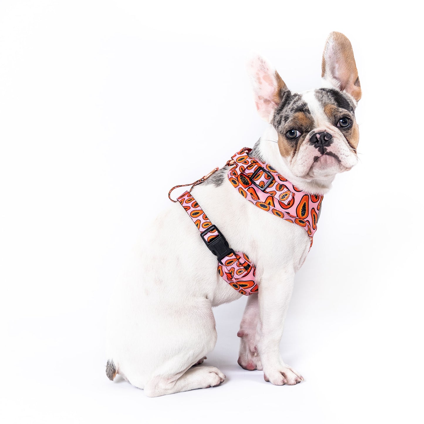 Pink Papaya Harness