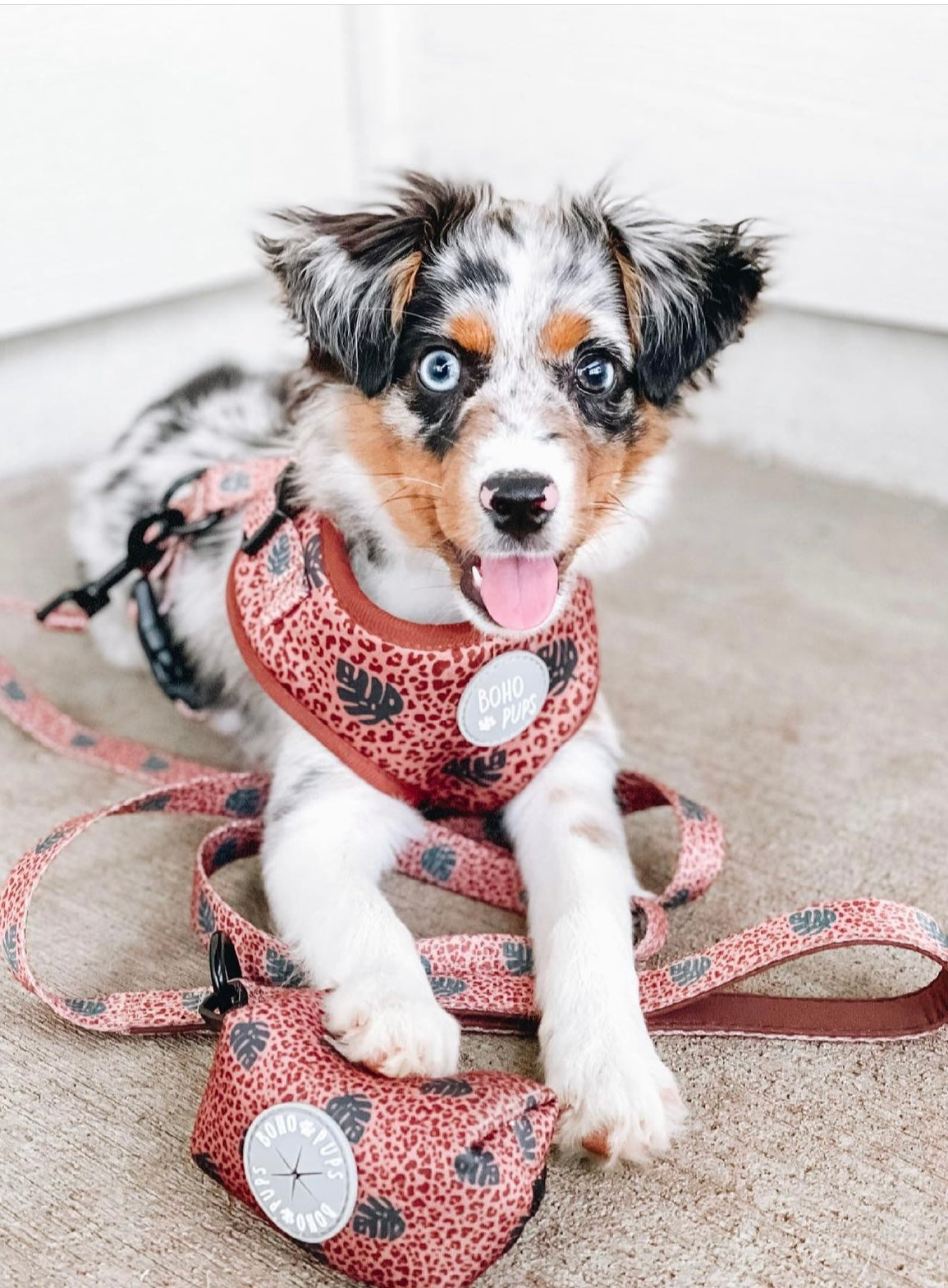 Boho Chick Harness