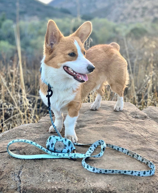 Cacti Guy Leash