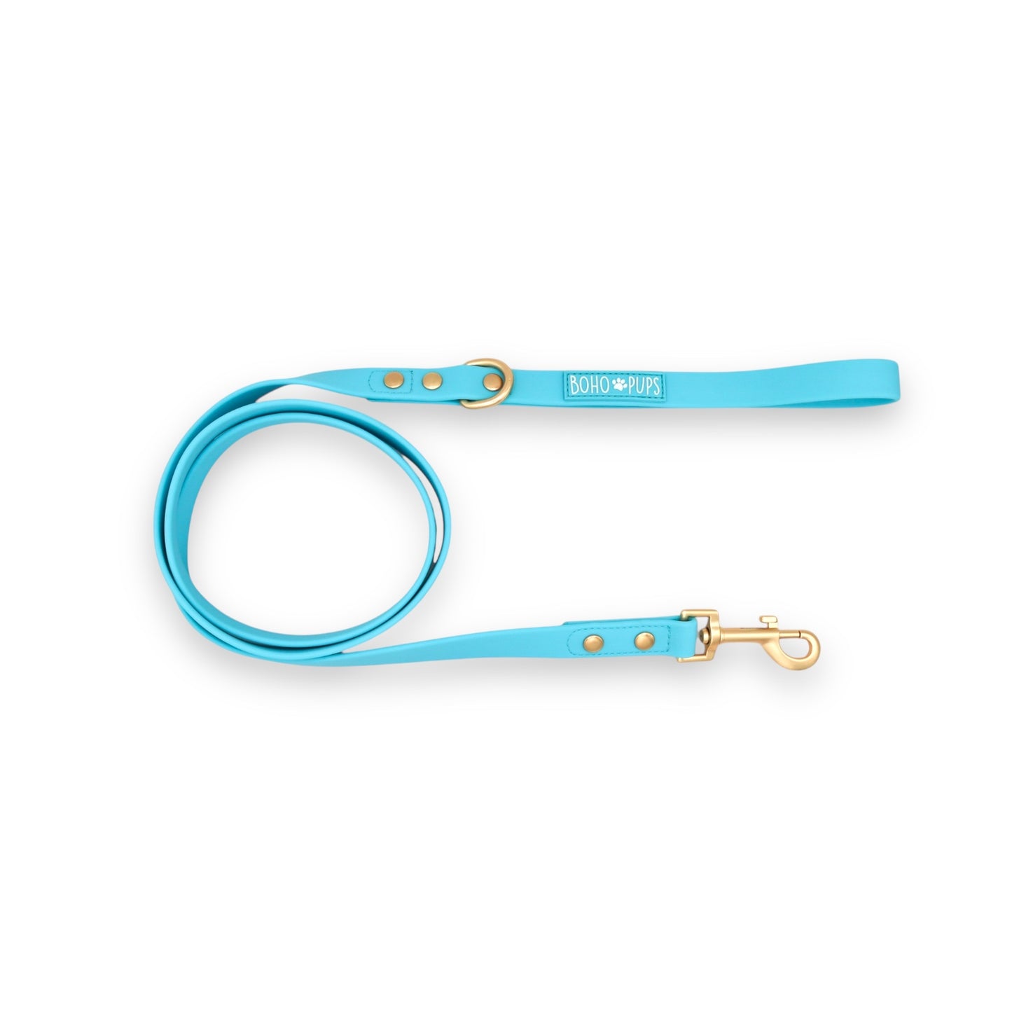 Aquamarine Waterproof Leash