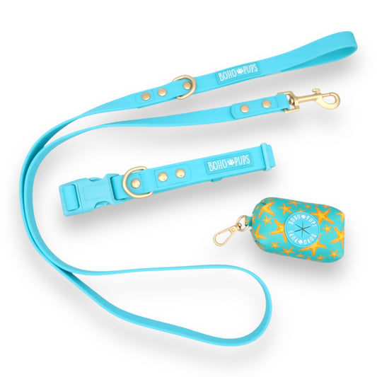 Sandy Paws Walkie Set (collar)