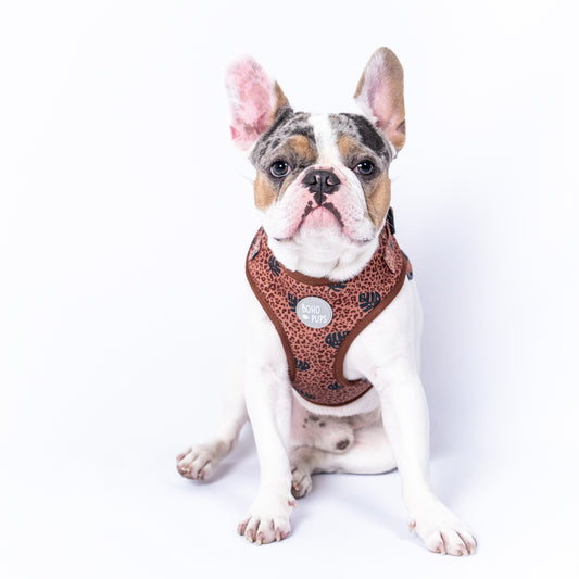 Boho Chick Harness