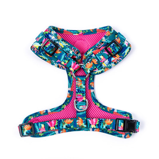 Jungle Babe Harness